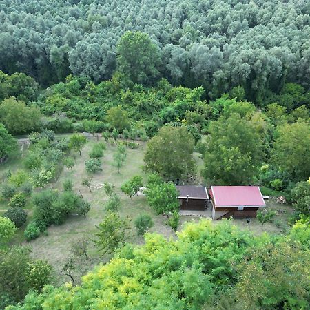 Odmor Za Dusu I Tijelo U Srcu Prirode Villa Aljmaš Exteriör bild