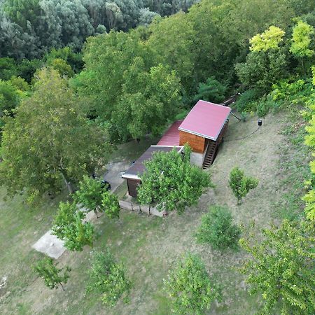 Odmor Za Dusu I Tijelo U Srcu Prirode Villa Aljmaš Exteriör bild