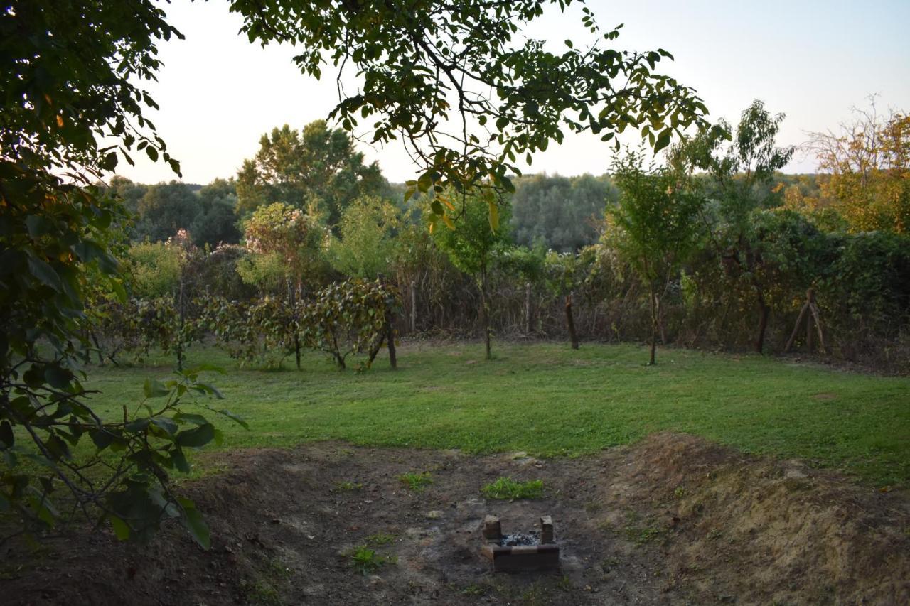 Odmor Za Dusu I Tijelo U Srcu Prirode Villa Aljmaš Exteriör bild