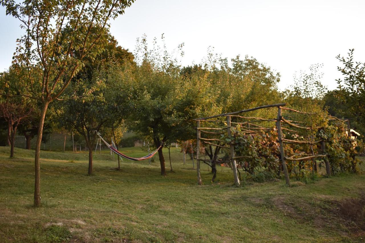 Odmor Za Dusu I Tijelo U Srcu Prirode Villa Aljmaš Exteriör bild