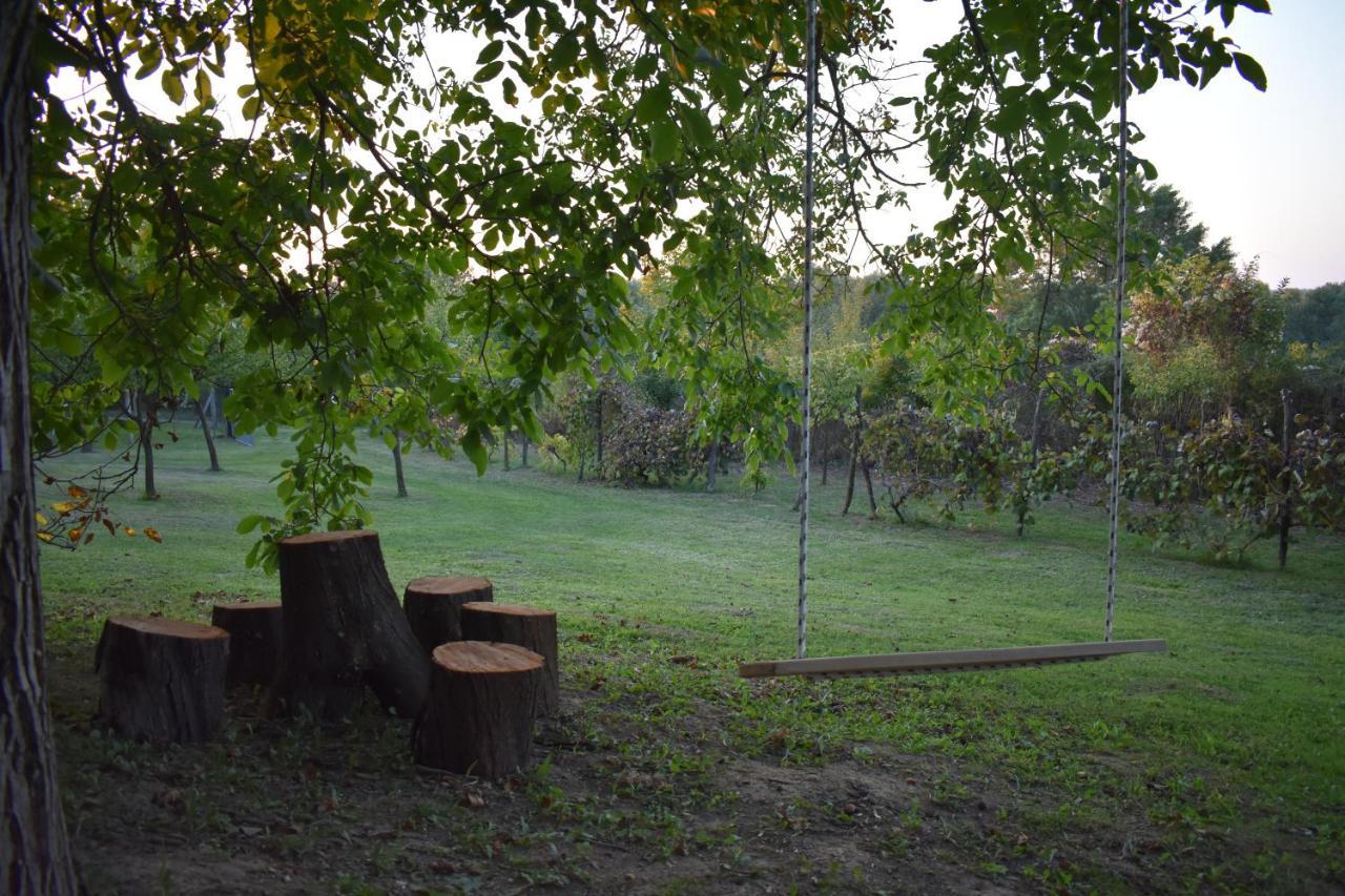 Odmor Za Dusu I Tijelo U Srcu Prirode Villa Aljmaš Exteriör bild