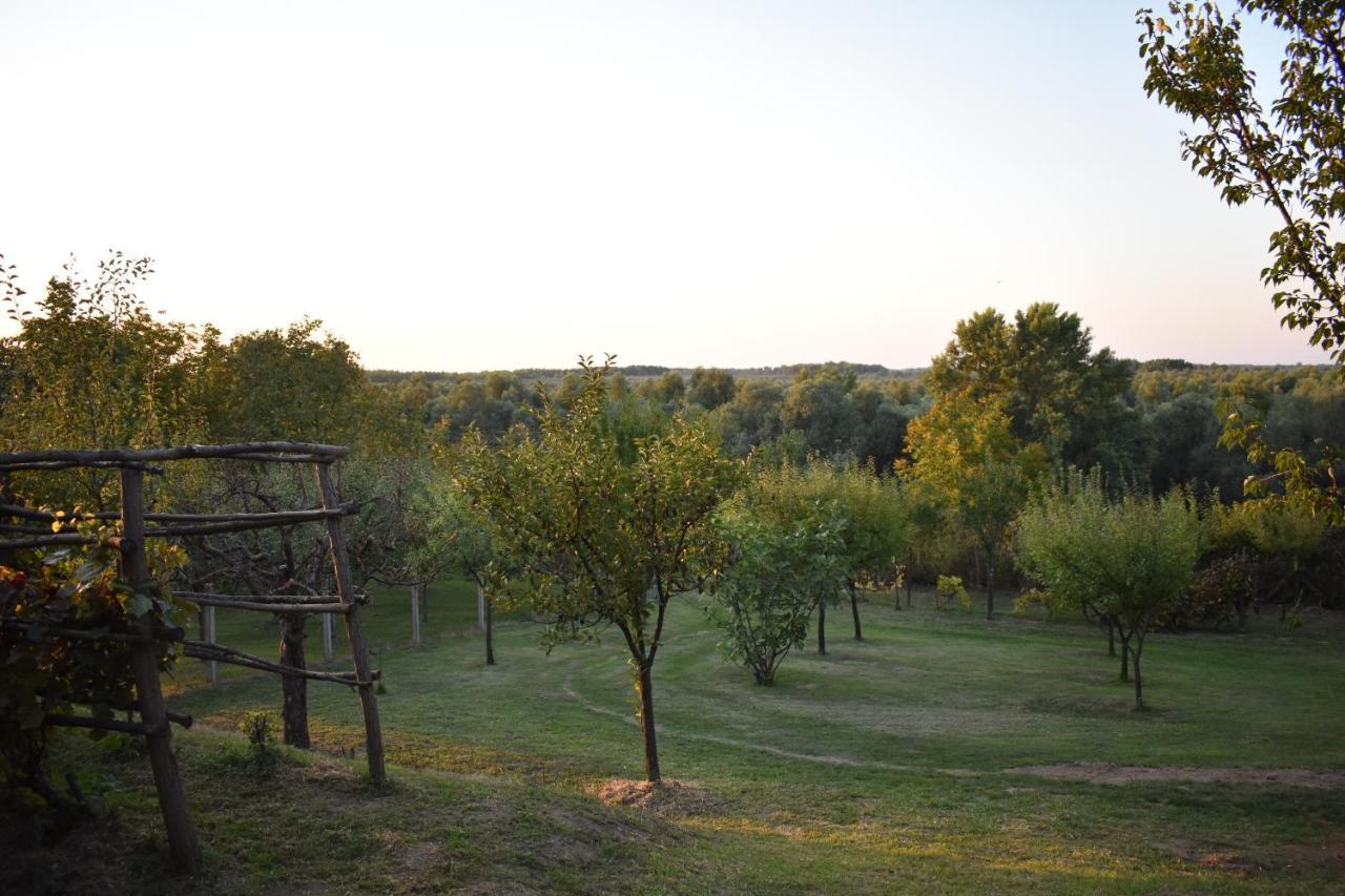 Odmor Za Dusu I Tijelo U Srcu Prirode Villa Aljmaš Exteriör bild