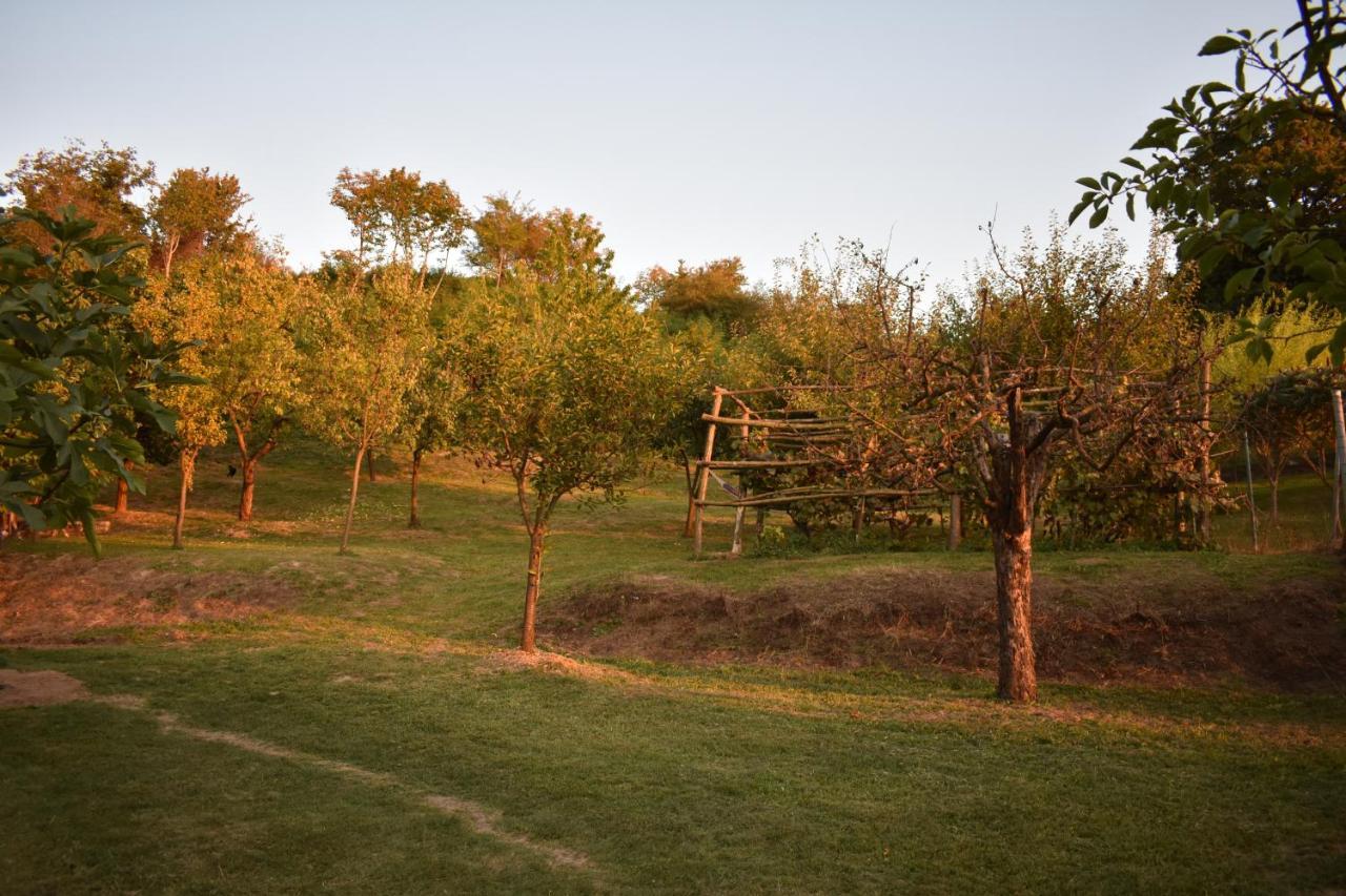 Odmor Za Dusu I Tijelo U Srcu Prirode Villa Aljmaš Exteriör bild