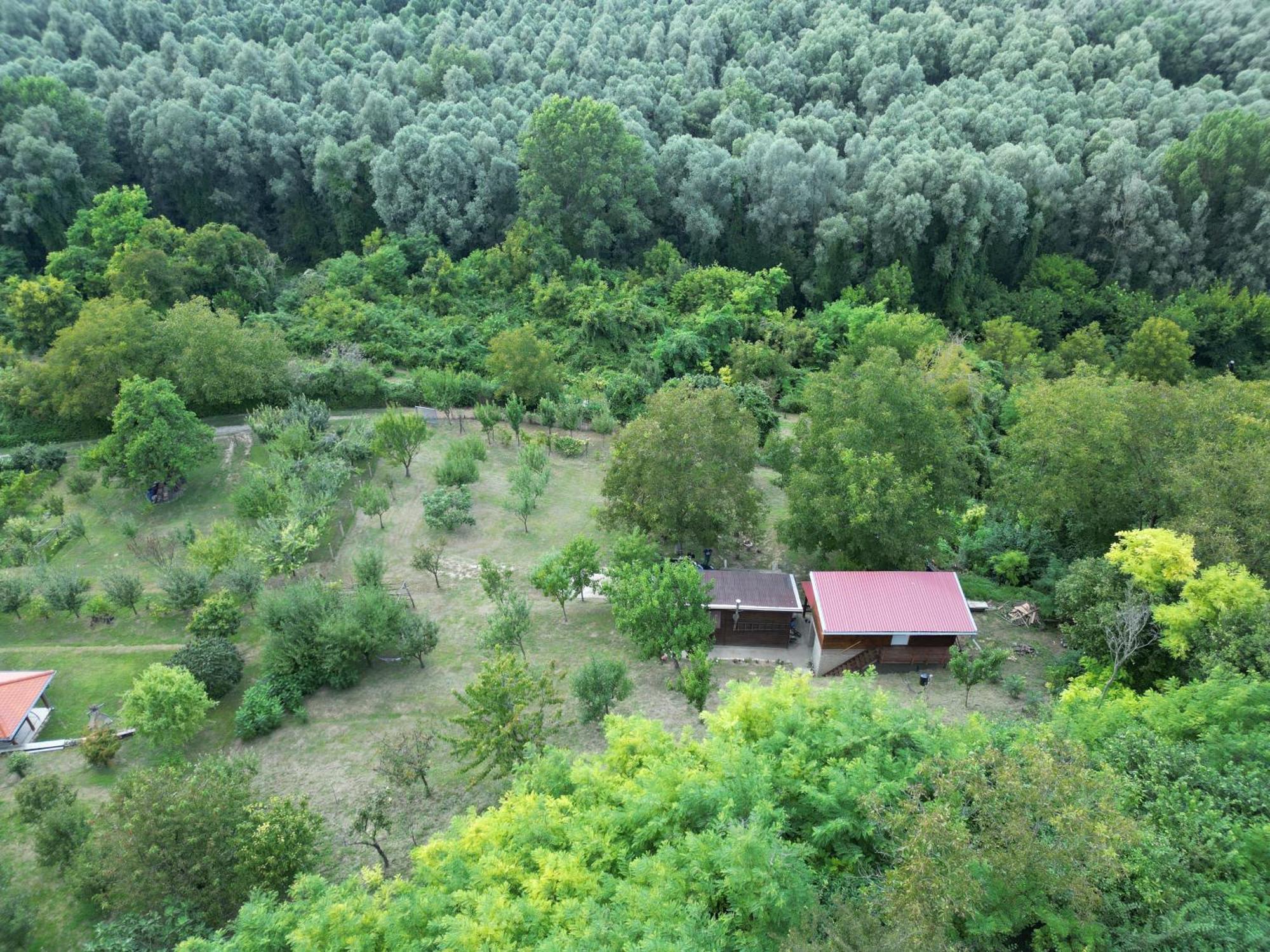 Odmor Za Dusu I Tijelo U Srcu Prirode Villa Aljmaš Exteriör bild