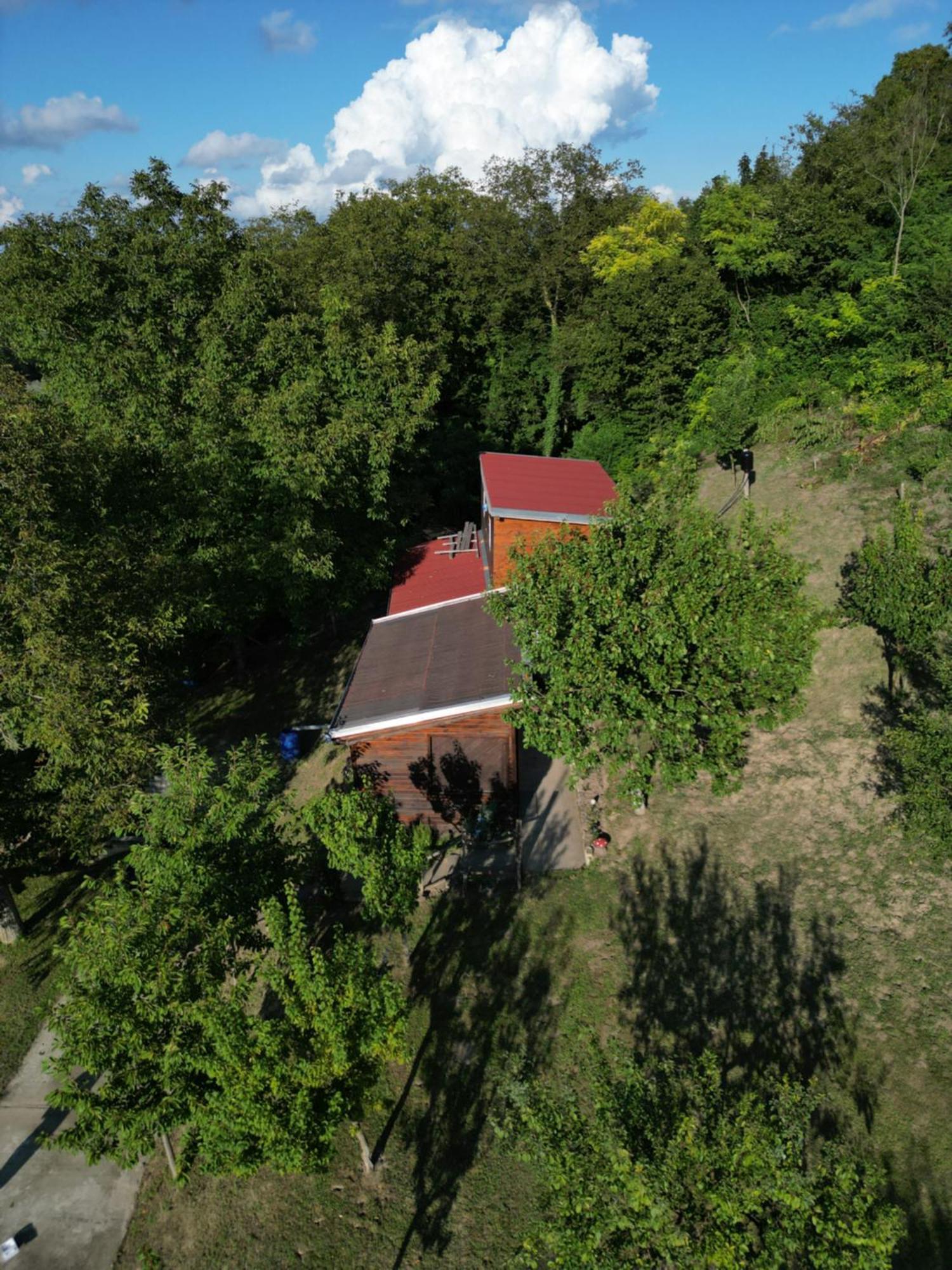 Odmor Za Dusu I Tijelo U Srcu Prirode Villa Aljmaš Exteriör bild