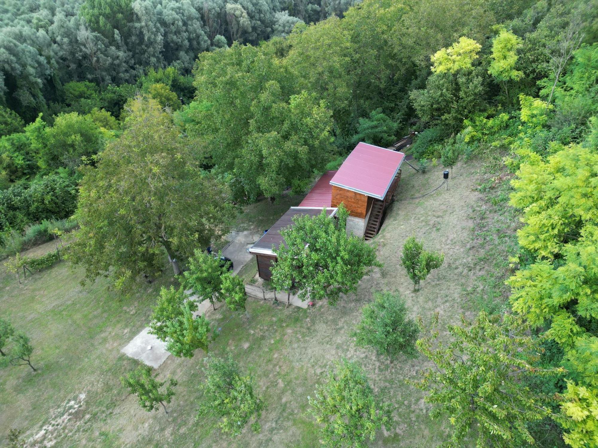 Odmor Za Dusu I Tijelo U Srcu Prirode Villa Aljmaš Exteriör bild