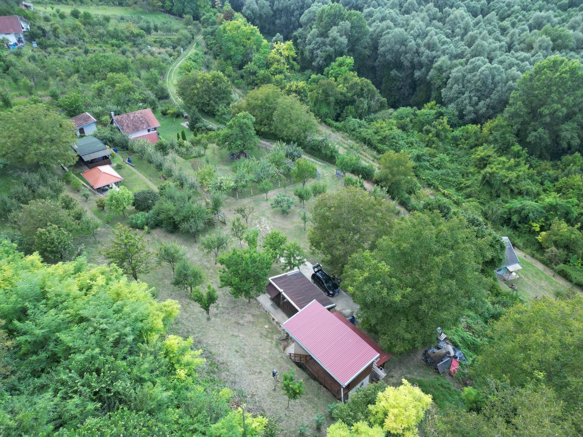 Odmor Za Dusu I Tijelo U Srcu Prirode Villa Aljmaš Exteriör bild