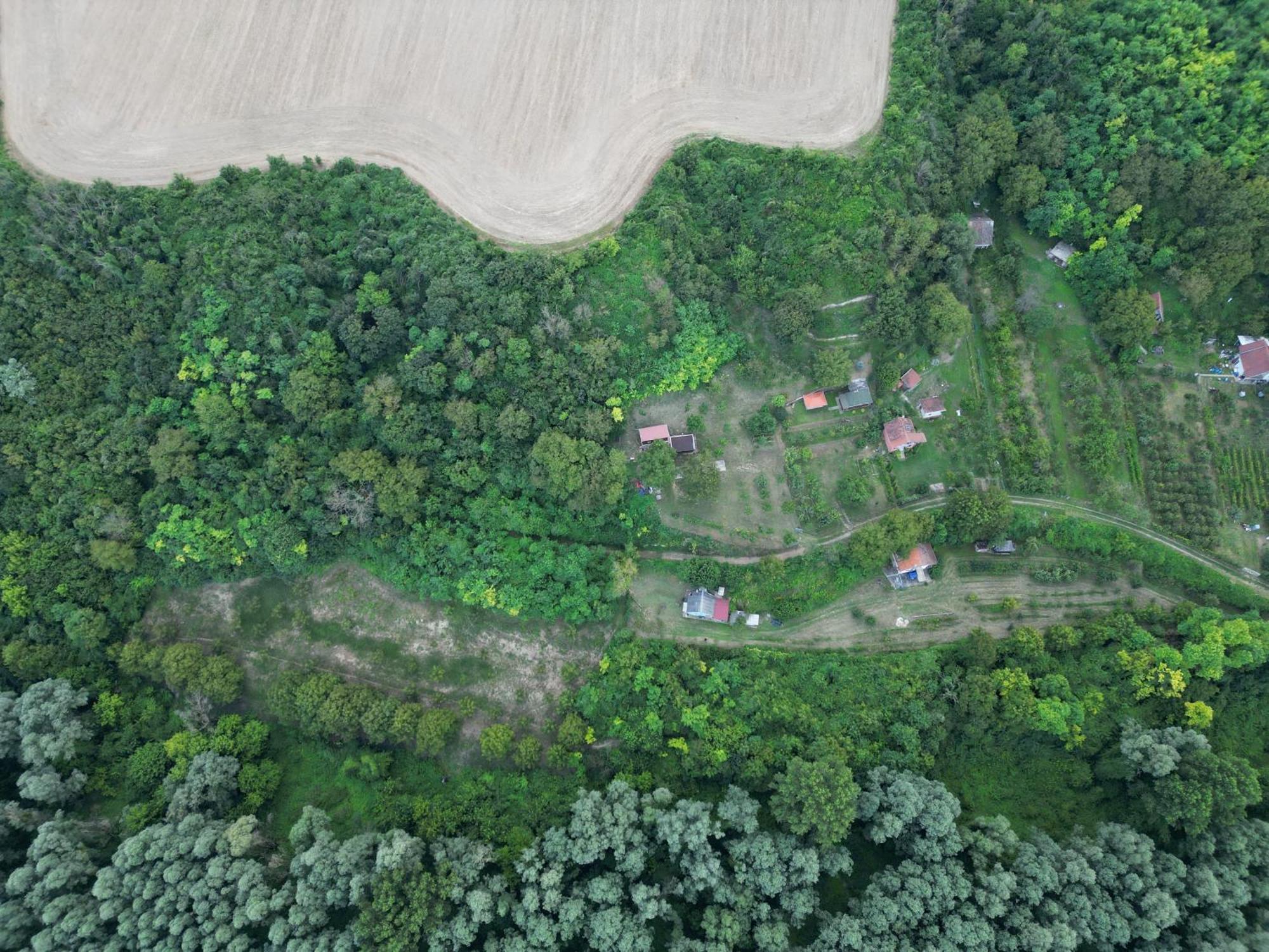 Odmor Za Dusu I Tijelo U Srcu Prirode Villa Aljmaš Exteriör bild